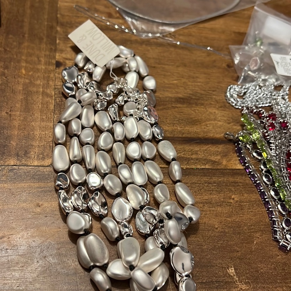 Dune and willow silver long beaded necklace